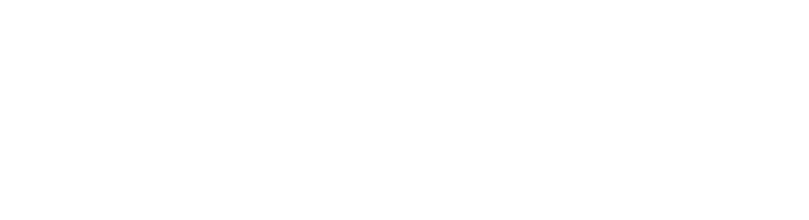 Allure Security Navigation Logo