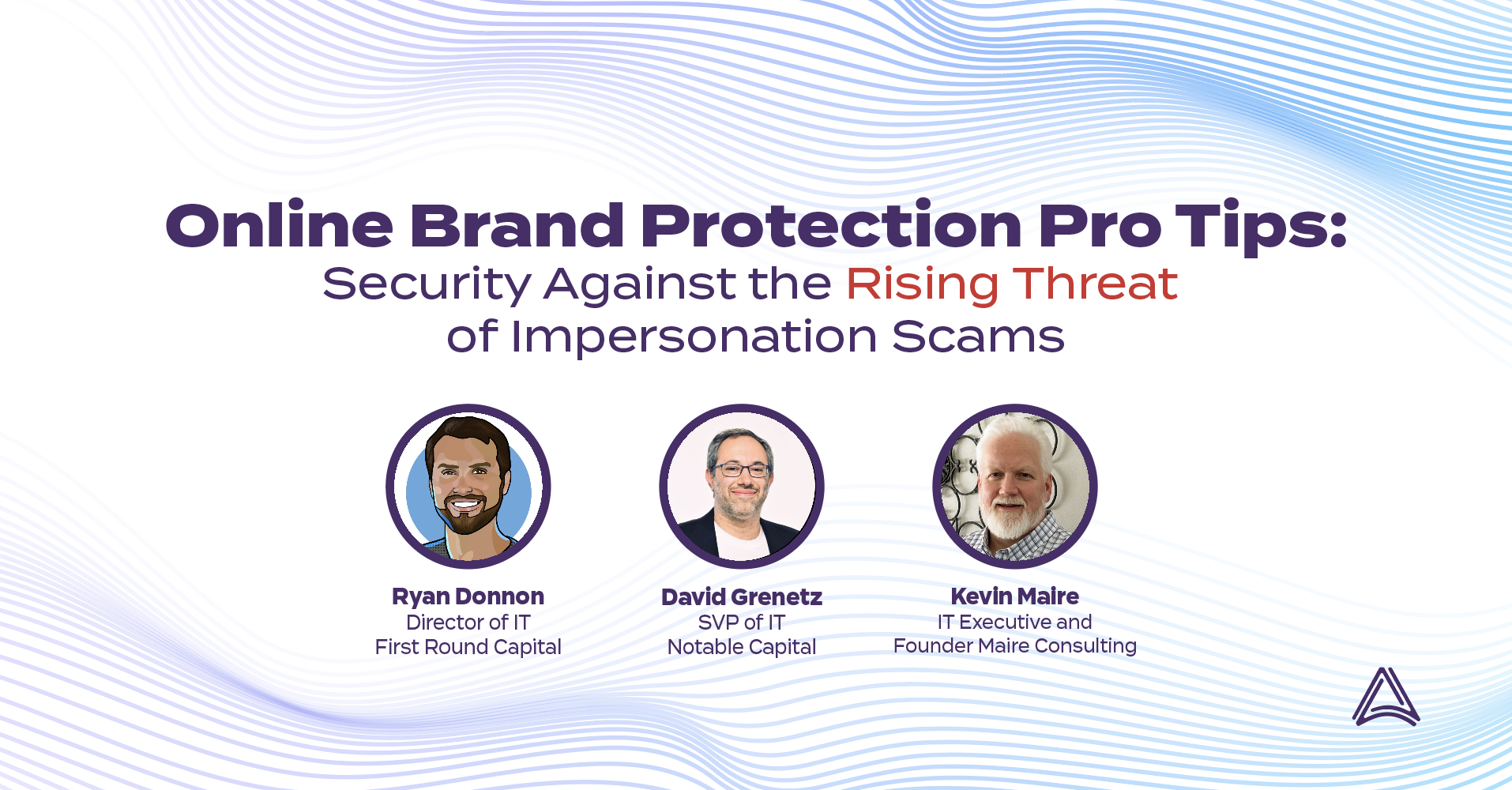 Online Brand Protection Pro Tips IT Leaders Panel